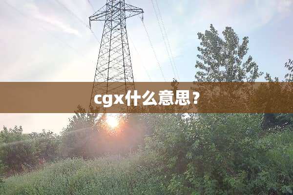 cgx什么意思？