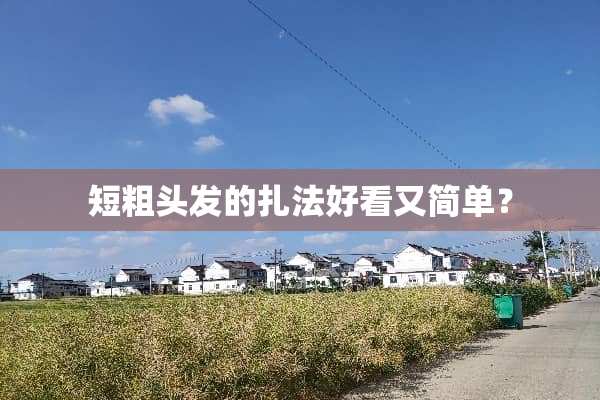 短粗头发的扎法好看又简单？