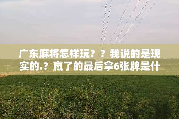 广东**怎样玩？？我说的是现实的.？赢了的最后拿6张牌是什么意思？