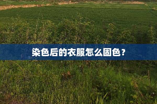 染色后的衣服怎么固色？