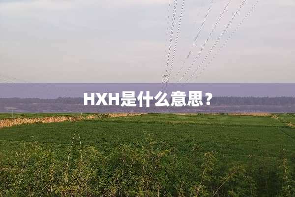 HXH是什么意思？