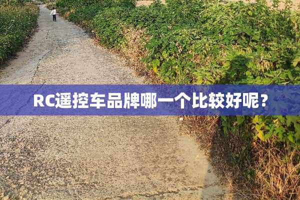 RC遥控车品牌哪一个比较好呢？