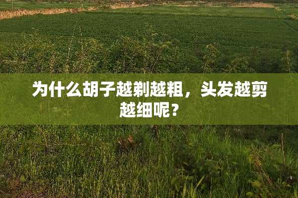 为什么胡子越剃越粗，头发越剪越细呢？