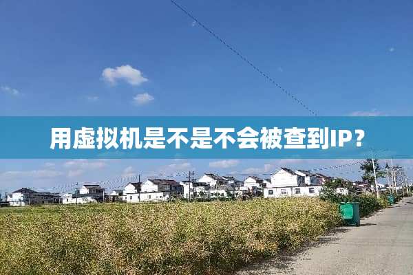 用虚拟机是不是不会被查到IP？