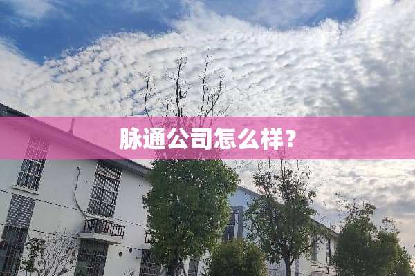 脉通公司怎么样？