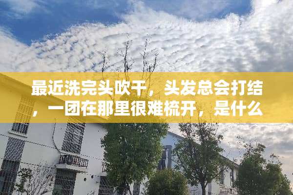 最近洗完头吹干，头发总会打结，一团在那里很难梳开，是什么原因，该怎么处理？