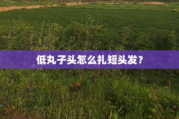 低丸子头怎么扎短头发？