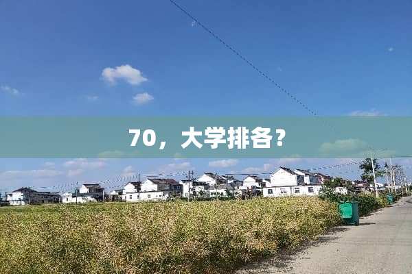 70，大学排各？