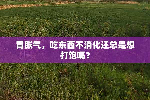 胃胀气，吃东西不消化还总是想打饱嗝？