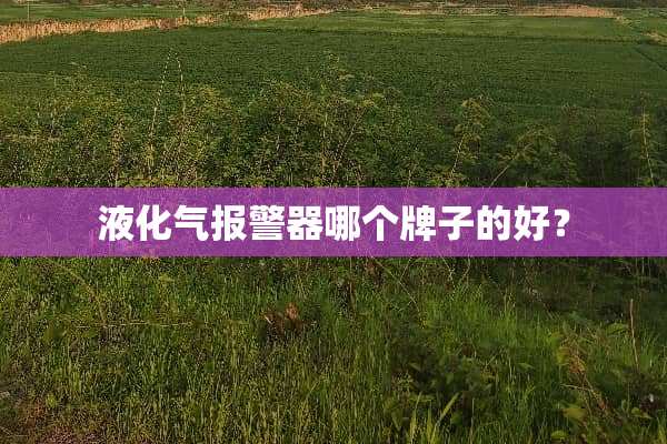 液化气报警器哪个牌子的好？