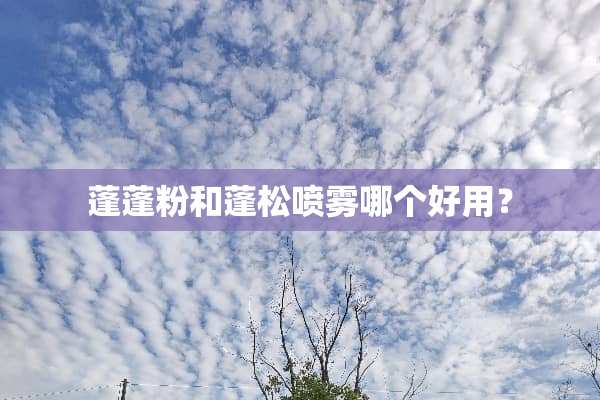 蓬蓬粉和蓬松喷雾哪个好用？