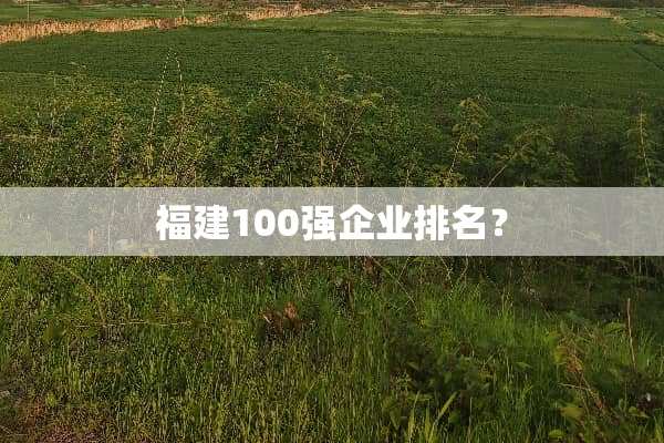 福建100强企业排名？