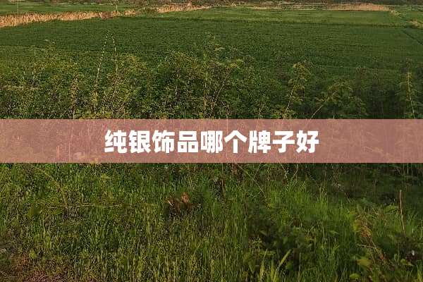 纯银饰品哪个牌子好