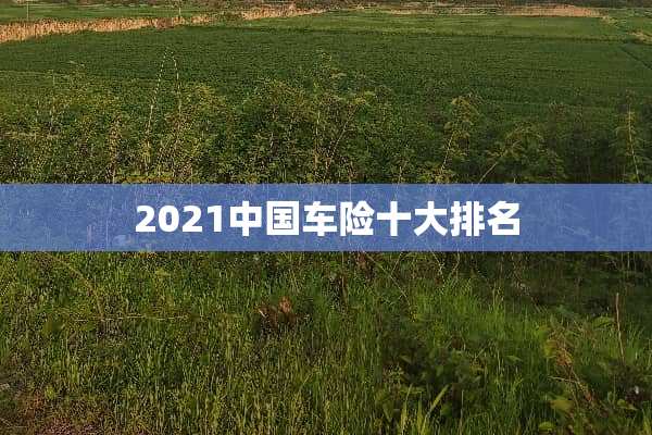 2021中国车险十大排名