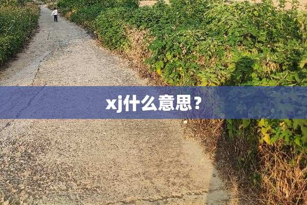 xj什么意思？