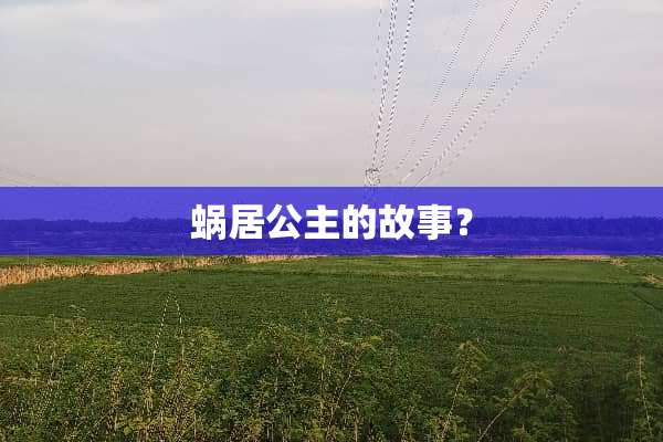 蜗居公主的故事？