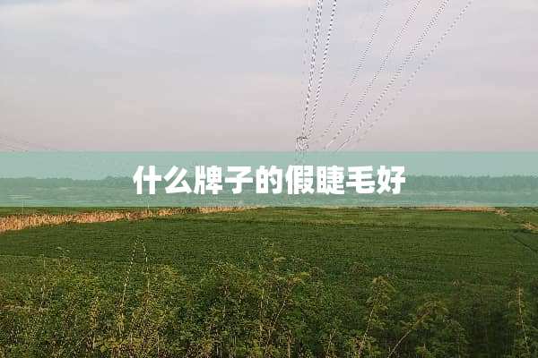什么牌子的假睫毛好