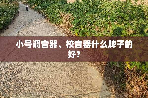 小号调音器、校音器什么牌子的好？