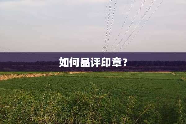如何品评印章？