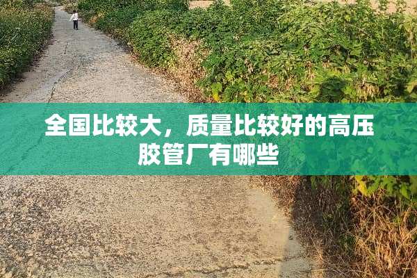全国比较大，质量比较好的高压胶管厂有哪些