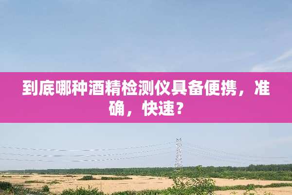到底哪种酒精检测仪具备便携，准确，快速？