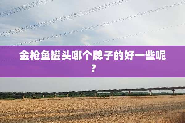金*鱼罐头哪个牌子的好一些呢？