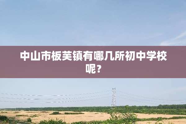 中山市板芙镇有哪几所初中学校呢？