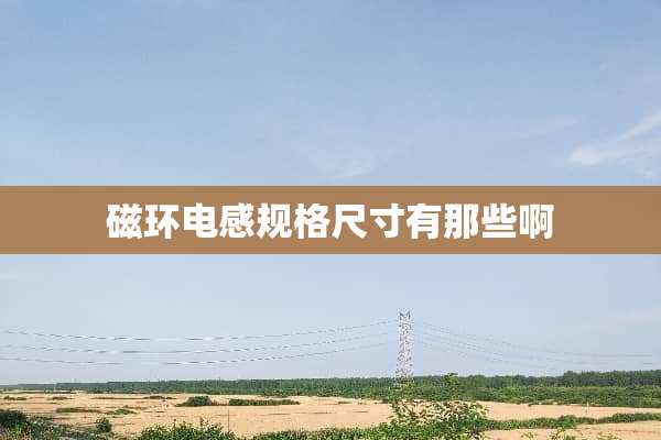 磁环电感规格尺寸有那些啊