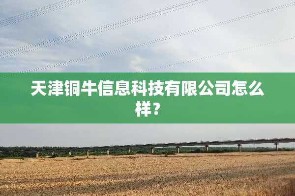 天津铜牛信息科技有限公司怎么样？