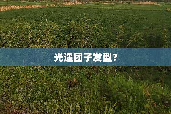 光遇团子发型？