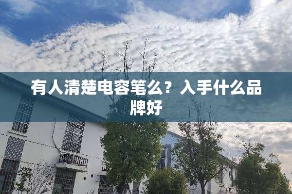 有人清楚电容笔么？入手什么品牌好