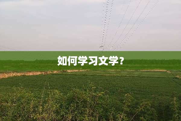 如何学习文学？