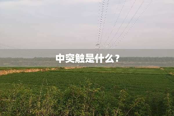 中突触是什么？