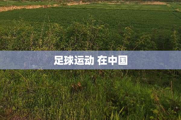 **运动 在中国