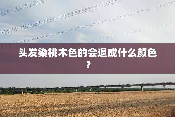 头发染桃木色的会退成什么颜色？