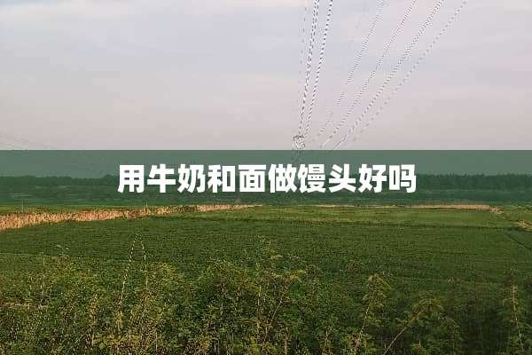 用牛奶和面做馒头好吗