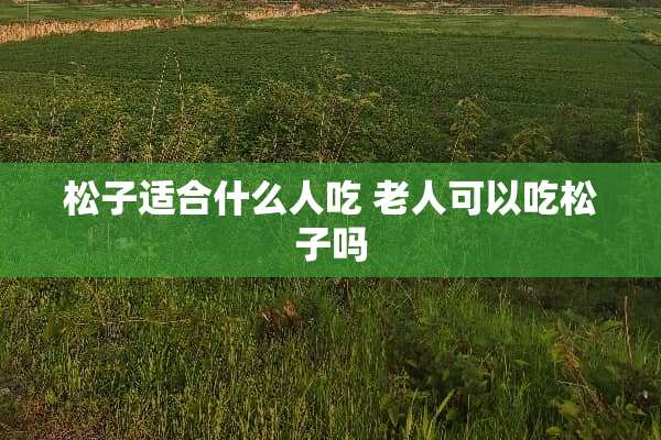 松子适合什么人吃 老人可以吃松子吗