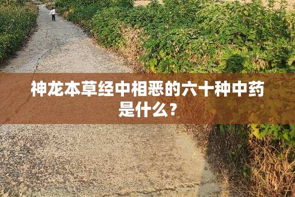 神龙本草经中相恶的六十种中药是什么？