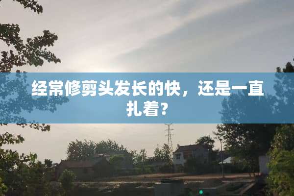 经常修剪头发长的快，还是一直扎着？