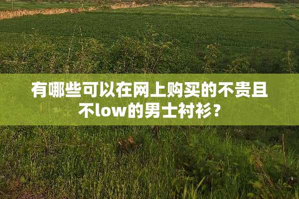 有哪些可以在网上购买的不贵且不low的男士衬衫？