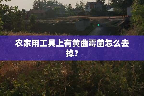 农家用工具上有黄曲霉菌怎么去掉？