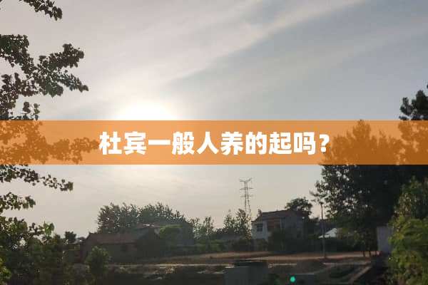 杜宾一般人养的起吗？