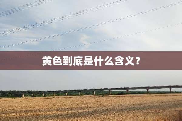 **到底是什么含义？