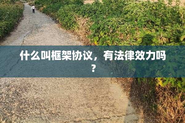 什么叫框架协议，有法律效力吗？