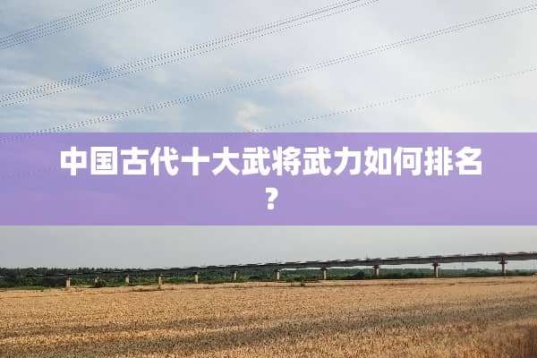 中国古代十大武将**如何排名？