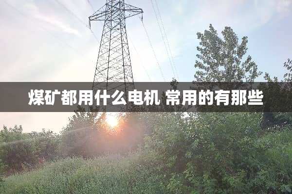 煤矿都用什么电机 常用的有那些