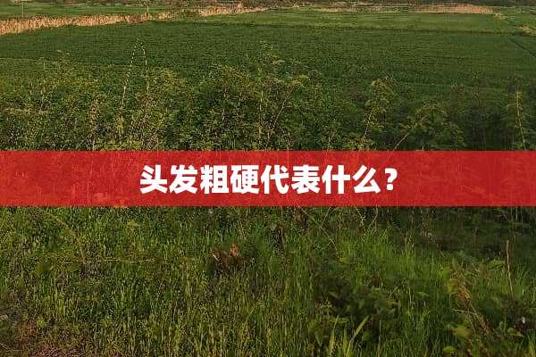 头发粗硬代表什么？