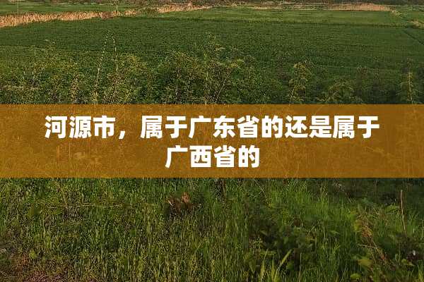 河源市，属于广东省的还是属于广西省的