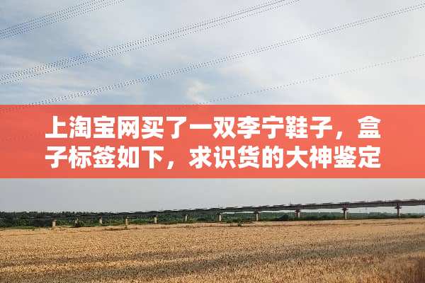 上淘宝网买了一双李宁鞋子，盒子标签如下，求识货的大神鉴定一下！