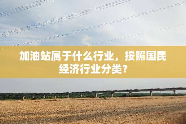 加油站属于什么行业，按照国民经济行业分类？